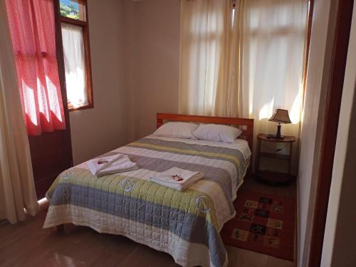 Pozuzo的住宿－Schmidt Hostal，一间卧室配有一张床,上面有两条毛巾
