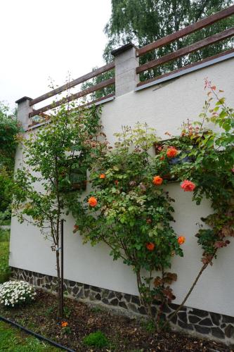 a garden with orange flowers on a wall at Chata Žár in Žár