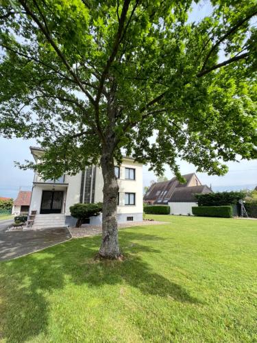 Taman di luar BONNE IDEE - Suite GEORGES - Meublé de tourisme 4 étoiles