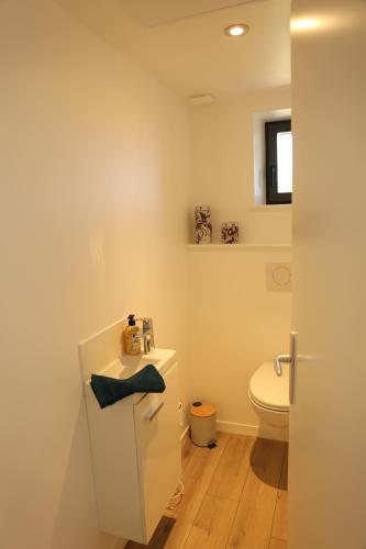 a bathroom with a sink and a toilet at Le pavillon d'Eole-loft vue mer exceptionnelle in Réville