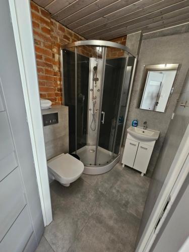 een badkamer met een douche, een toilet en een wastafel bij Karpacka 8 in Bydgoszcz