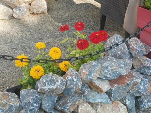 a bunch of flowers in a rock garden at L' Auberge Campagnarde, Lourdes in Poueyferré