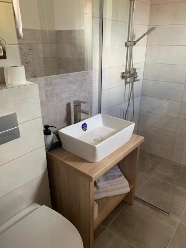 a bathroom with a sink and a toilet and a shower at Casa Leda in Sovata