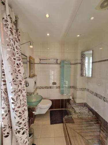 une salle de bain avec un lavabo, des toilettes et une douche dans l'établissement Superbe logement au centre de Paris, à Paris