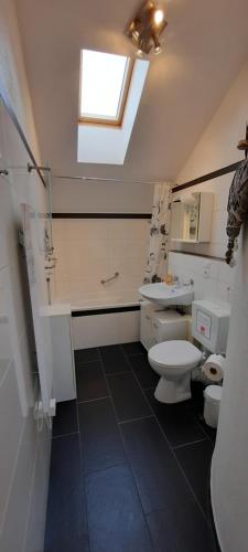 a bathroom with a toilet and a sink and a window at Petras Wildgatter in Grafenwiesen