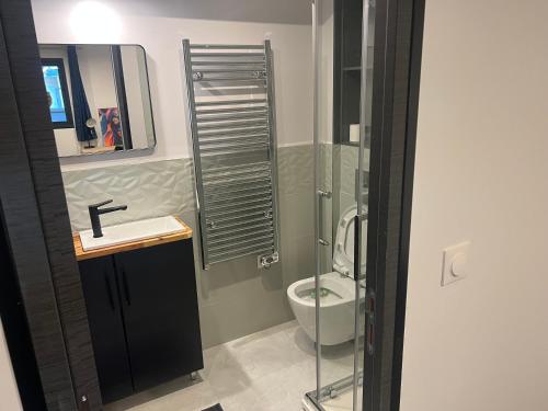 une salle de bain avec un lavabo et des toilettes dans l'établissement Loft entier Nancy centre et parking, à Nancy