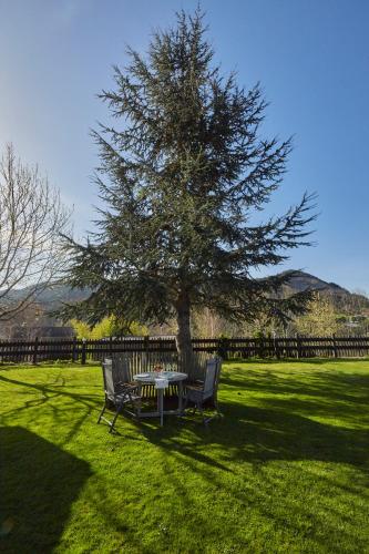 a table and two chairs under a tree in a field at Apartamentos Ea Astei in Ea