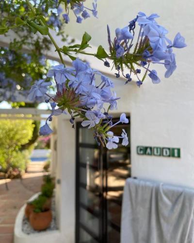 a bunch of blue flowers in a vase on a table at La Careza De Mijas - Adults Only in Mijas
