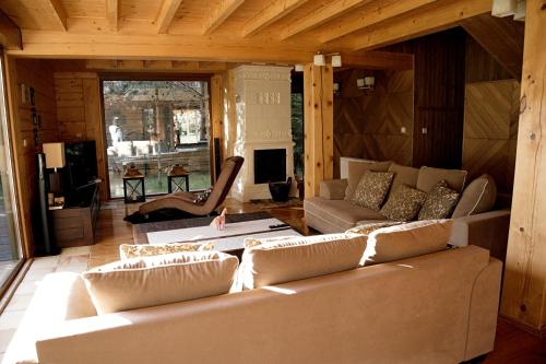 a living room with a couch and a fireplace at Dom Nad Jeziorem - Rydzewo in Rydzewo