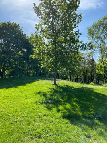 a tree in the middle of a grass field at BEAU STUDIO NEUF AVEC TERRASSE in Le Blanc-Mesnil
