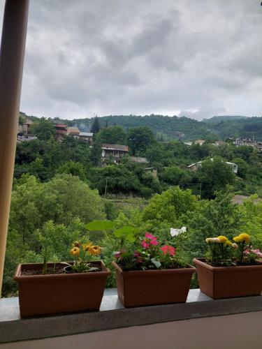 three potted plants sitting on a window sill with a view at Arman Guest House in Dilijan