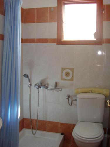 a bathroom with a shower and a toilet and a window at Kelenis Apartments in Karterados
