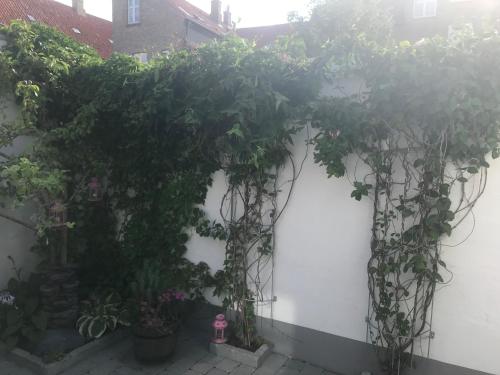 a white fence with a bunch of plants on it at *****elegant feriebolig i hjertet af Kerteminde in Kerteminde