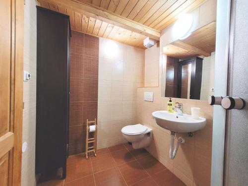 a bathroom with a toilet and a sink and a mirror at Apartmán Pec pod Sněžkou - Cihlářka in Pec pod Sněžkou