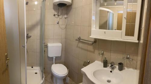 La salle de bains est pourvue de toilettes, d'un lavabo et d'une douche. dans l'établissement Apartman Turanj, à Turanj