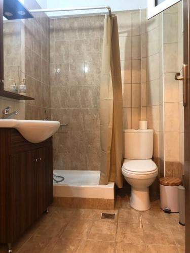 a bathroom with a toilet and a sink and a shower at Soft Pillow in Paralion astros