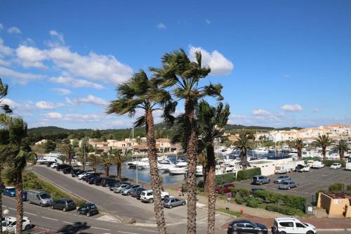 un groupe de palmiers dans un parking dans l'établissement Studio 646, Port Nature 6 au village naturiste, au Cap d'Agde