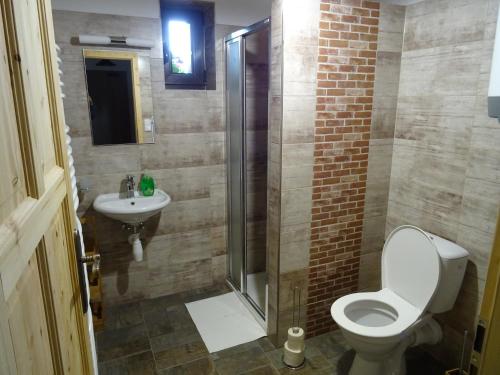 a bathroom with a toilet and a sink at Penzion U vlka in Wöllsdorf