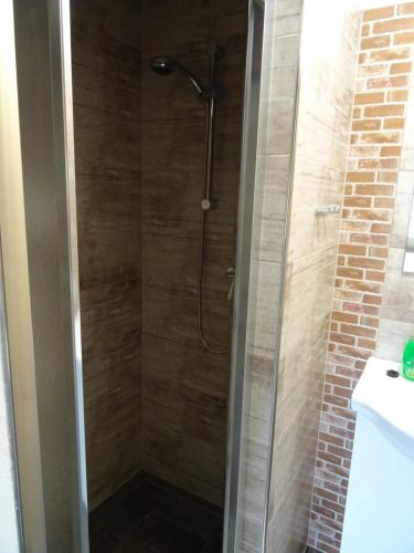 a shower with a glass door in a bathroom at Penzion U vlka in Wöllsdorf