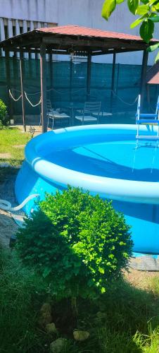 a blue tub sitting in the grass next to a bush at CASA AMBROZIA in Eforie Sud