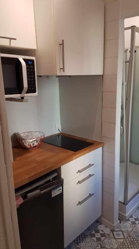 une petite cuisine avec un évier et un micro-ondes dans l'établissement T1 Bis plein centre de Toulon,climatisé, à Toulon