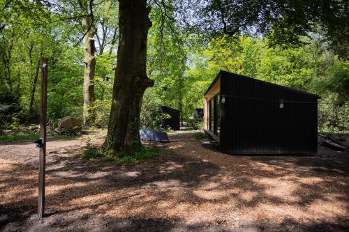 a black shed sitting next to a tree at Buitenplaats Petersburg in Arnhem