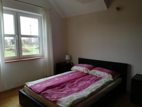 グジボボにあるGRIBKO SEASIDE APARTMENTSのベッドルーム1室(ピンクのシーツが敷かれたベッド1台、窓付)