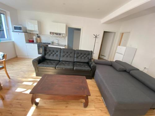 a living room with a black couch and a table at Villa Acernis in Postojna