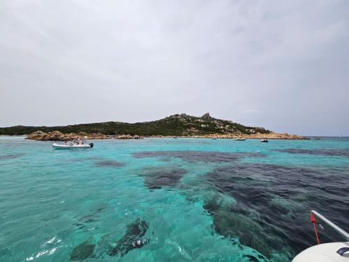 Φυσικό τοπίο κοντά σε αυτό το διαμέρισμα