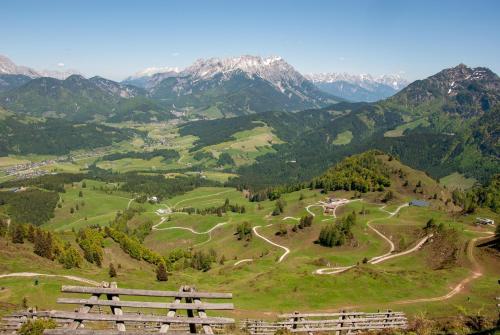 a wooden bench on top of a hill with mountains at Ferienhaus Riedlsperger in Fieberbrunn