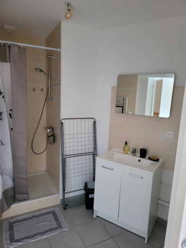 une salle de bain avec un lavabo blanc et une douche dans l'établissement Appartement meublé Duplex T3., à Baume-les-Dames