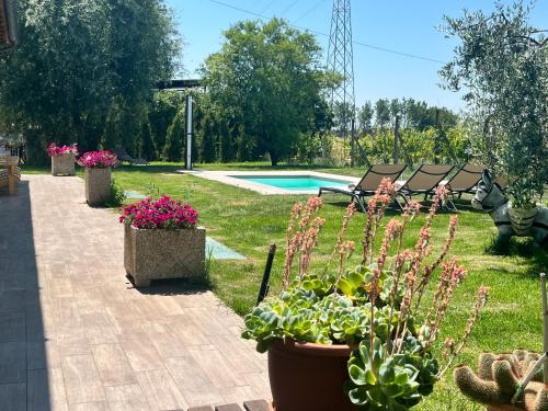 Gallery image of A Casa di Elena. in Arezzo