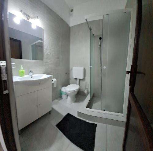 W łazience znajduje się prysznic, umywalka i toaleta. w obiekcie Casa Dobric w mieście Sovata