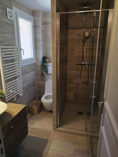 une salle de bain avec une douche avec des toilettes et un lavabo dans l'établissement Villa en locations saisonnières La Cadière d'Azur, à Laouque
