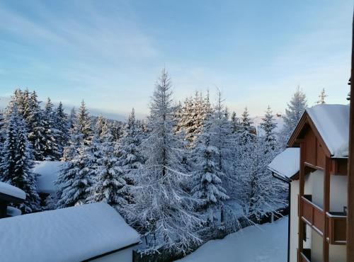 a view of a snow covered forest from a house at Panorama Apartment Gerlitzen in Treffen