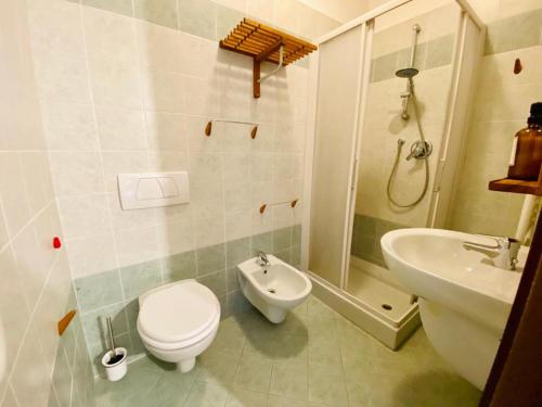 ein Bad mit einem WC und einem Waschbecken in der Unterkunft Mulino del Casale - nature b&b in San Paolo Solbrito