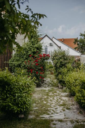 a garden with red flowers and a white house at Haus Diogenes in Mörbisch am See