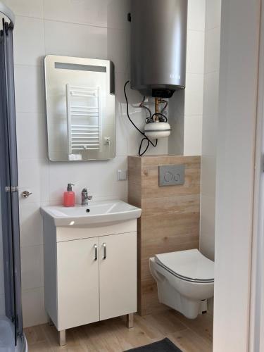 a bathroom with a toilet and a sink and a mirror at Piaski Morza A in Gąski