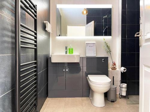 a bathroom with a toilet and a sink and a mirror at Grace's Place in Ely in Ely