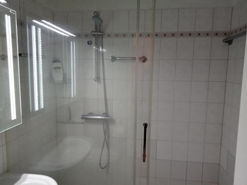 Wohnung 416, Am Kurpark 3, 38700 Braunlage في برونلاغ: حمام مع دش ومغسلة