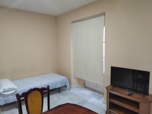 Televízia a/alebo spoločenská miestnosť v ubytovaní Lindo piso en el corazón de Cádiz