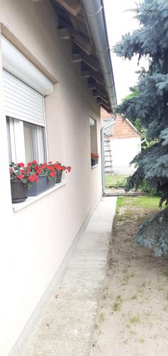 a building with two potted flowers on a window at sobe MAŠA in Subotica