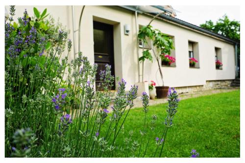 un jardin avec des fleurs violettes en face d'une maison dans l'établissement Ingrid’s Guesthouse Spittal, à Spittal an der Drau