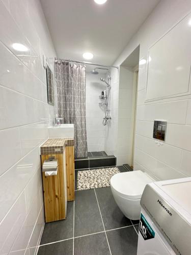 a white bathroom with a toilet and a shower at Penthouse located very close to the city center in Tallinn