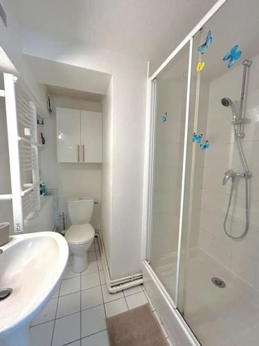 une salle de bain avec une douche, des toilettes et un lavabo dans l'établissement Appartement lumineux et calme, à Rouen