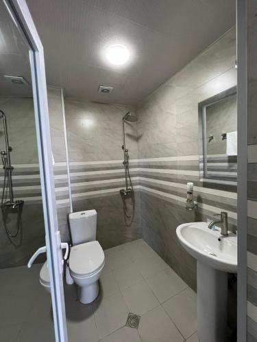a bathroom with a toilet and a sink at LEVAN Guest house in Batumi