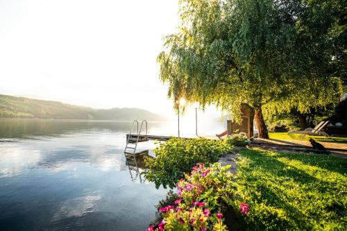 a view of a lake with a tree and flowers at Seefels Appartements in Döbriach