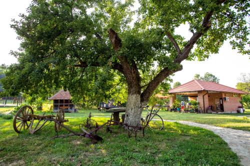 a park with a tree and a picnic table under a tree at Imanje Lotus Garden in Šabac