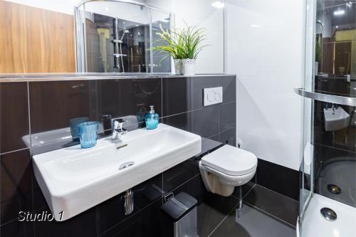 a bathroom with a sink and a toilet at Appartement Sportwerk in Göstling an der Ybbs