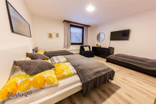 a bedroom with two beds and a flat screen tv at Appartement Sportwerk in Göstling an der Ybbs